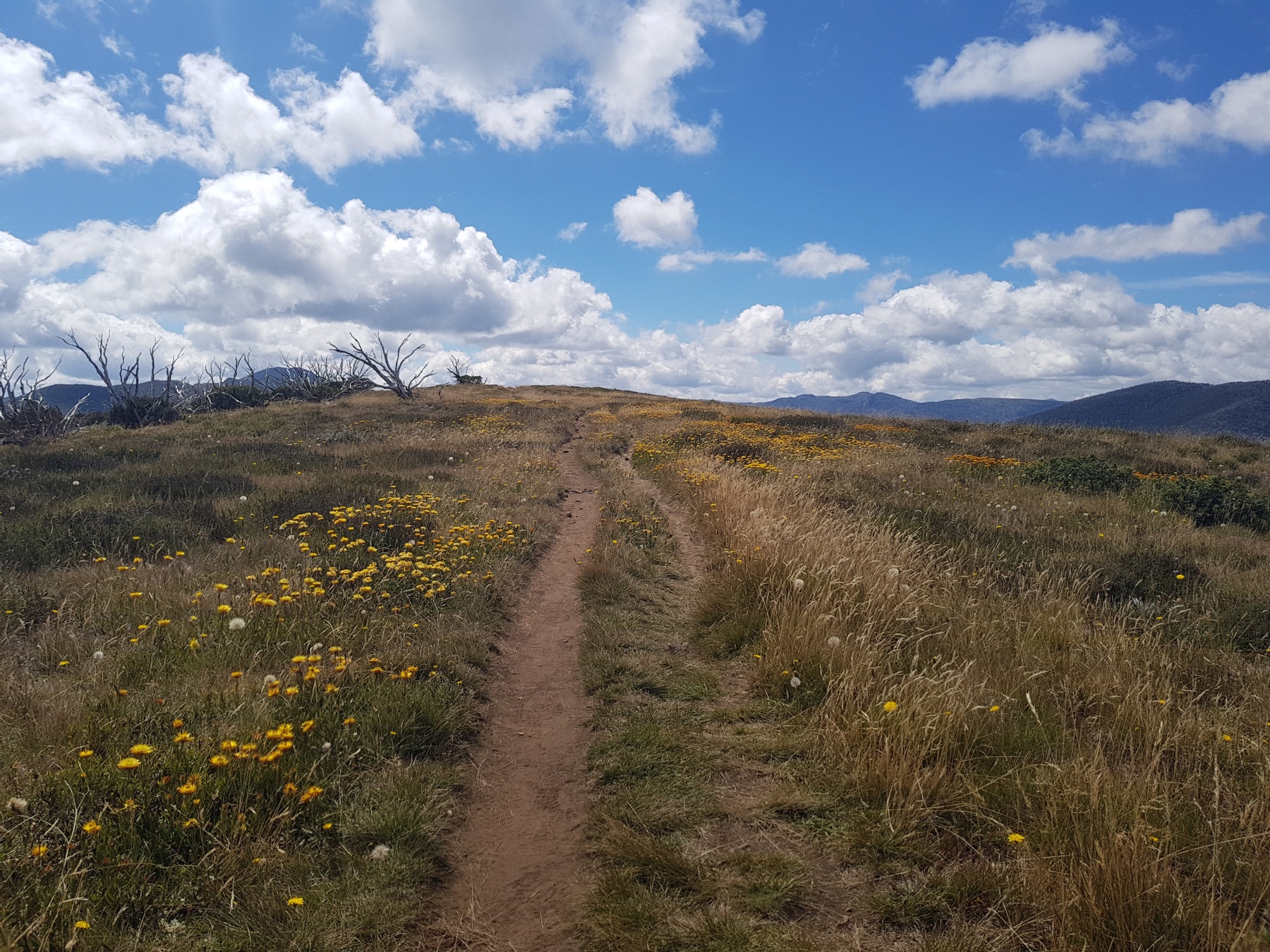 Australian Trails, Tracks, and Routes - Airtable Universe